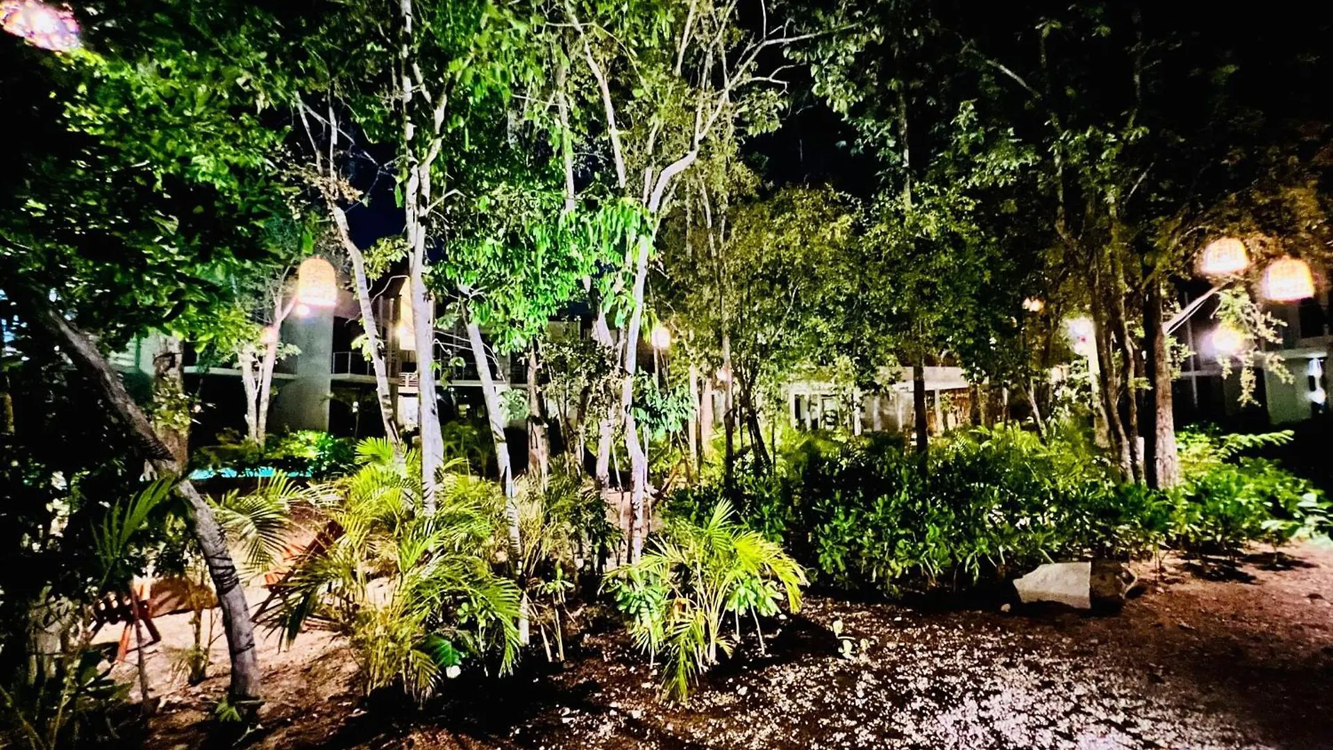 306 Seremonia Selva Private Pool New Apartment King Bed Wifi Tulum 0*,